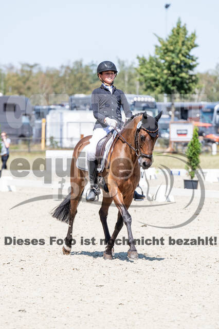 Kronenberg - De Peelbergen (August 2020)