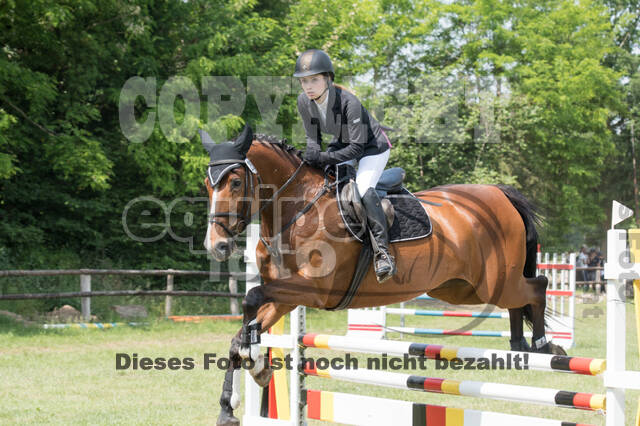 Vielseitigkeitsturnier ZRuFV von Lützow Hamminkeln