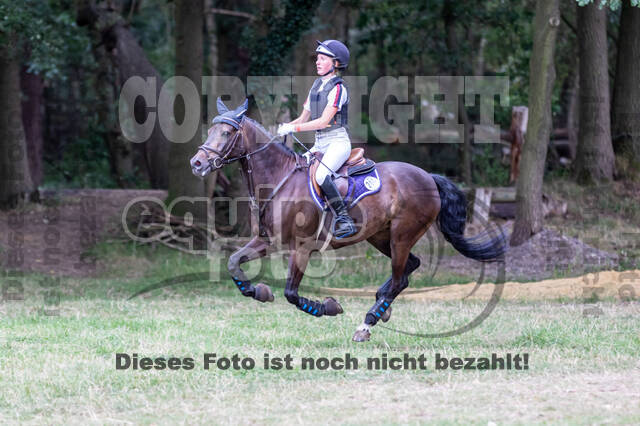 Late-Entry Vielseitigkeit Hamminkeln/Wesel (01.+02.08.2020)