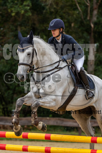 Vielseitigkeit RSV Wesel Obrighoven (26.+27.09.2020)