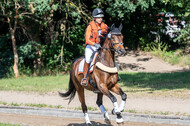 Late-Entry-Vielseitigkeit Langenfeld (11.+13./14.06.2020)