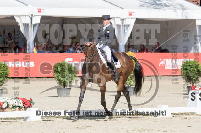 FEI European Championship Eventing 2017