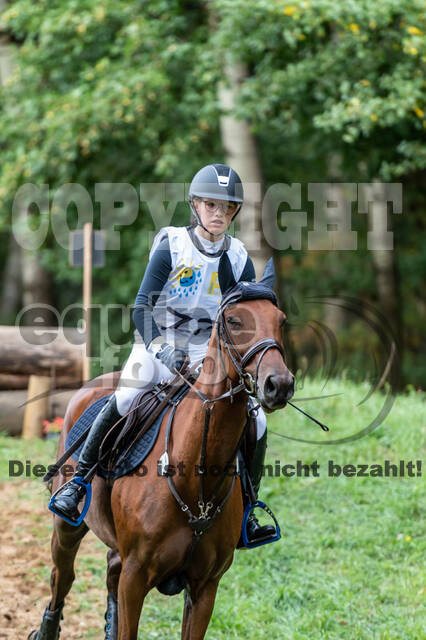 Vielseitigkeit RSV Wesel Obrighoven (26.+27.09.2020)