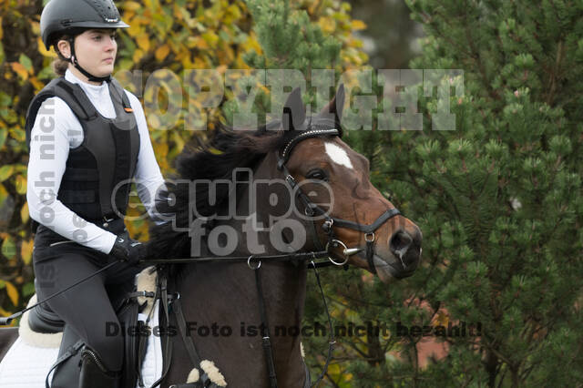 IGV Lehrgang der Sieger der Cups mit Frank Ostholt