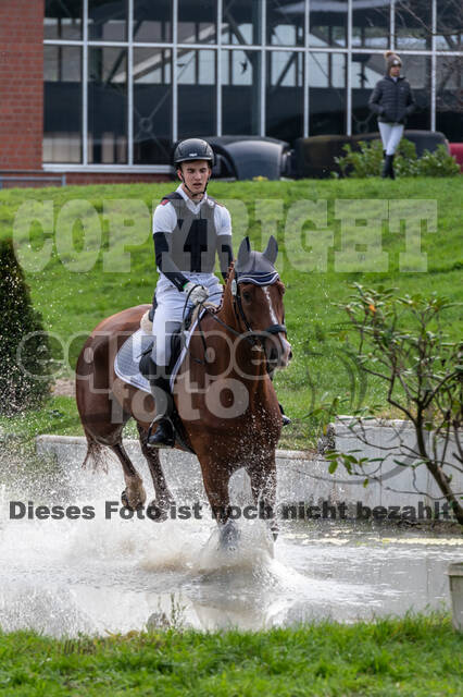 Goldene Schärpe 2020 - Pferde