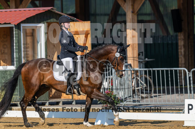 Westerstede Horse Trials 2021