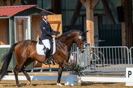 Westerstede Horse Trials 2021