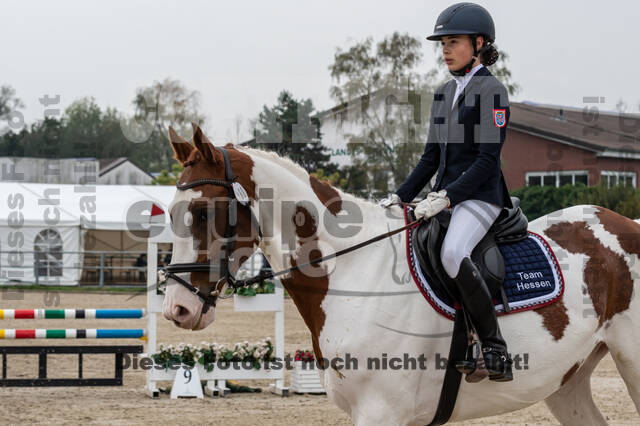 Goldene Schärpe 2020 - Pferde