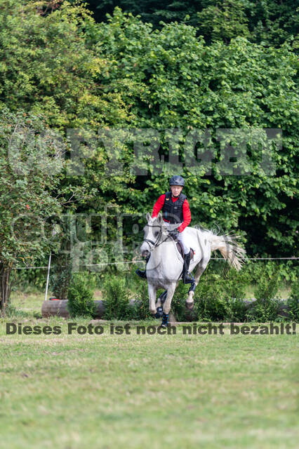 Goldene Schärpe 2021 - Ponys