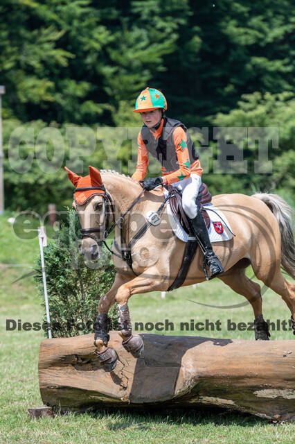 Goldene Schärpe 2021 - Ponys