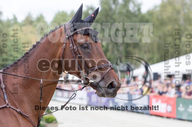FEI European Championship Eventing 2019