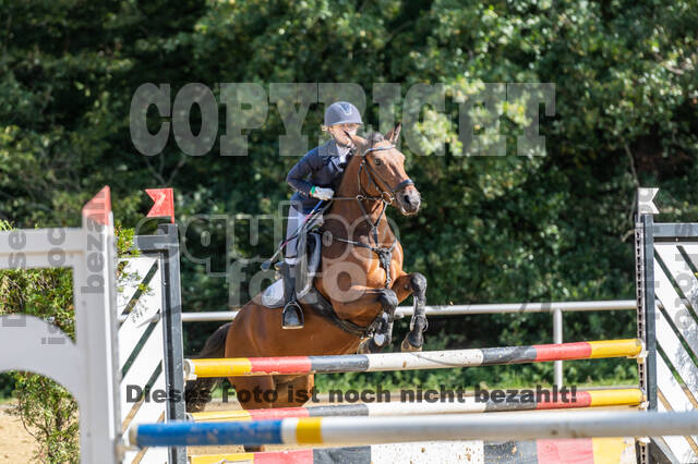 RFV Dinslaken-Hiesfeld (Herbstturnier)