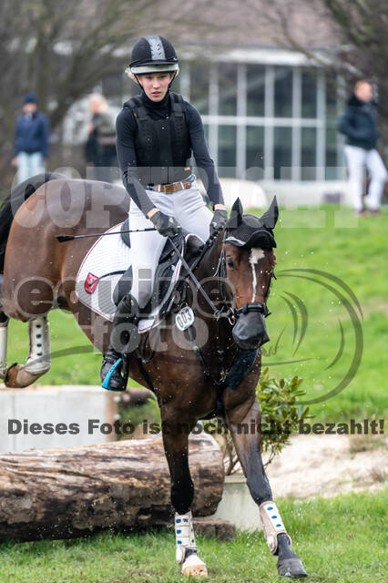 Goldene Schärpe 2020 - Pferde