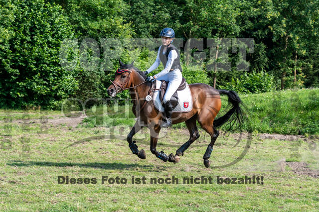 Goldene Schärpe 2021 - Ponys