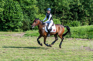 Goldene Schärpe 2021 - Ponys