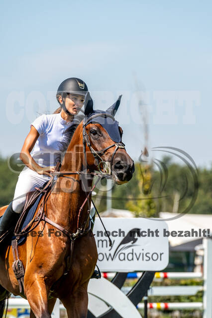 Kronenberg - De Peelbergen (August 2020)