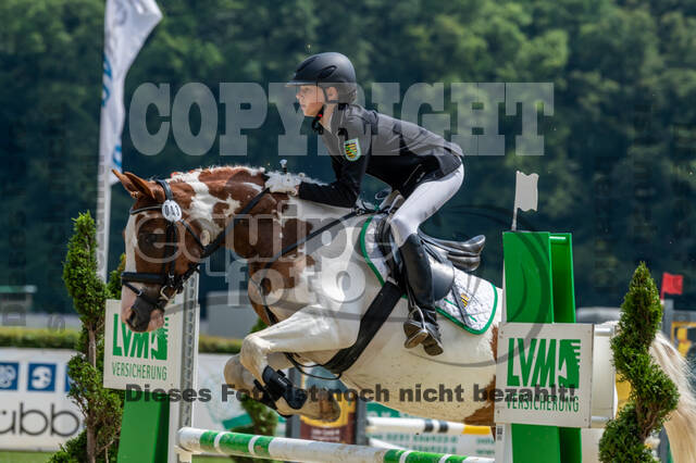 Goldene Schärpe 2021 - Ponys
