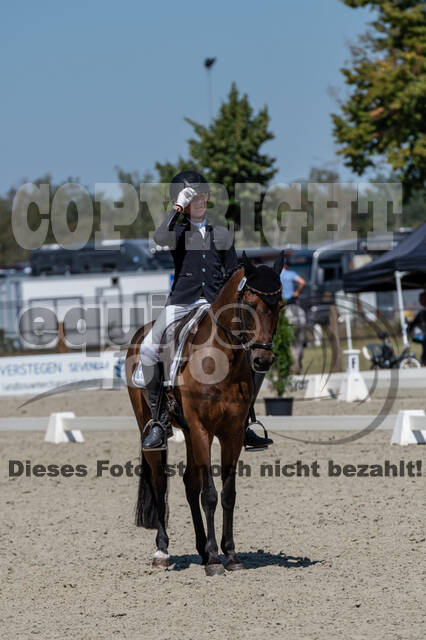 Kronenberg - De Peelbergen (August 2020)