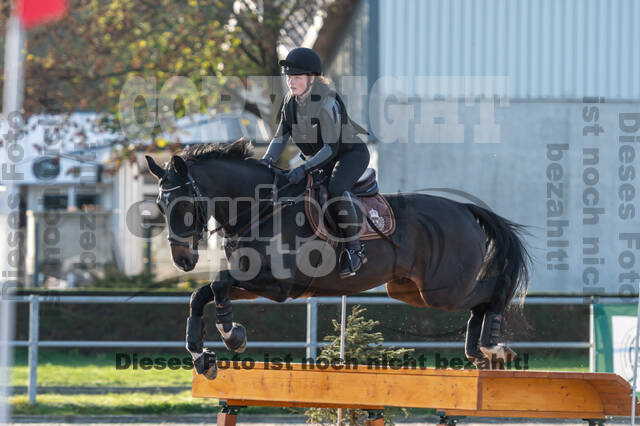 IGV Lehrgang der Sieger der Cups mit Frank Ostholt