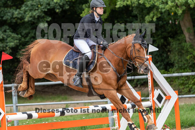 Late-Entry-Vielseitigkeit Langenfeld (06.+07.07.2020)