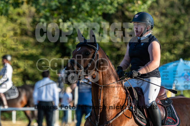 RFV Dinslaken-Hiesfeld (Herbstturnier)