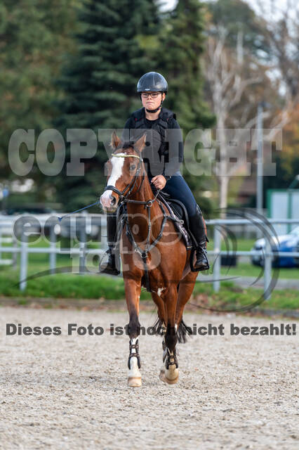 IGV Lehrgang der Sieger der Cups mit Frank Ostholt