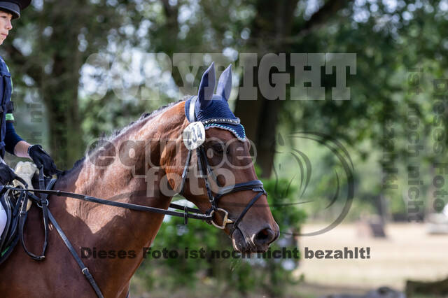 Late-Entry Vielseitigkeit Hamminkeln/Wesel (01.+02.08.2020)