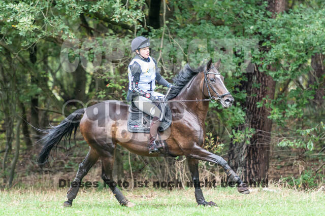 Vielseitigkeit RSV Wesel Obrighoven (26.+27.09.2020)