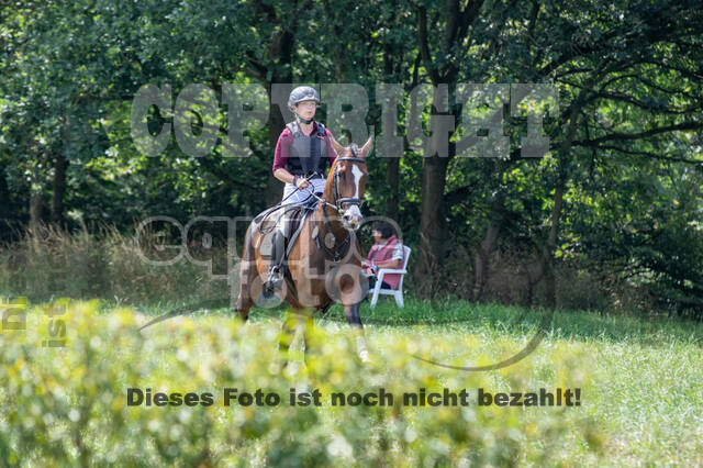 Late-Entry-Vielseitigkeit Gahlen (18.07.2020)