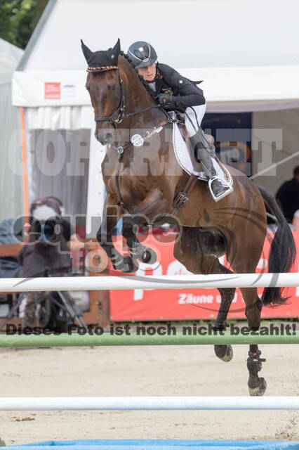 FEI European Championship Eventing 2017