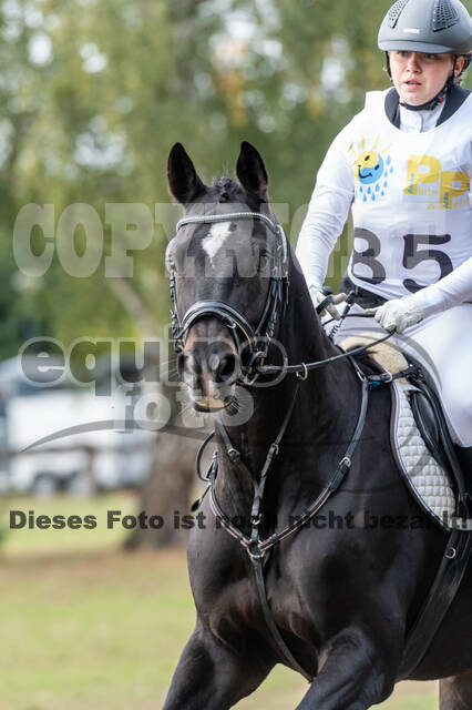 Vielseitigkeit RSV Wesel Obrighoven (26.+27.09.2020)