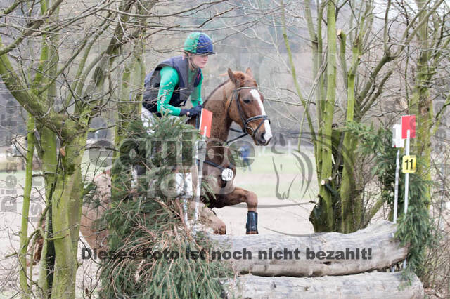 Jungpferdetag Hamminkeln