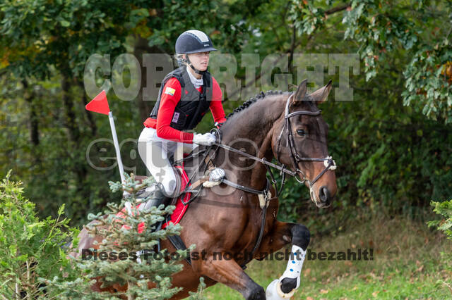 Goldene Schärpe 2020 - Pferde