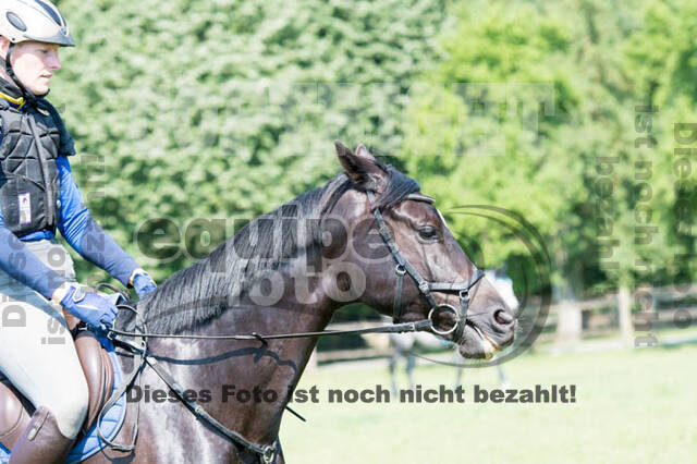 Tholi-Tour Lehrgang Vanessa Bölting