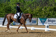 Westerstede Horse Trials 2021