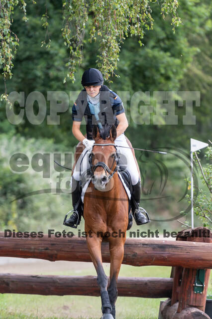 Late-Entry-Vielseitigkeit Langenfeld (11.+13./14.06.2020)