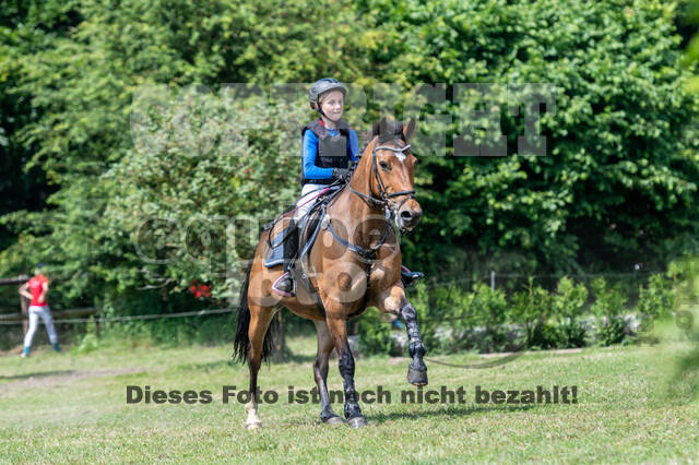 Goldene Schärpe 2021 - Ponys