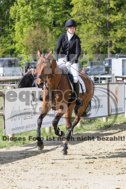 Sterne über Münster 2019 - CCI***S