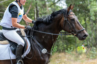 Late-Entry Vielseitigkeit Hamminkeln/Wesel (01.+02.08.2020)