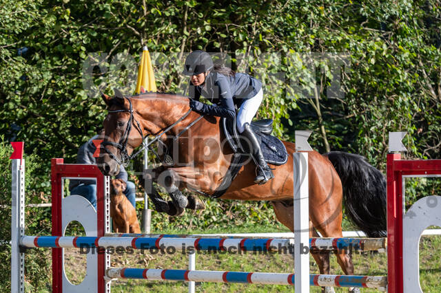 RFV Dinslaken-Hiesfeld (Herbstturnier)