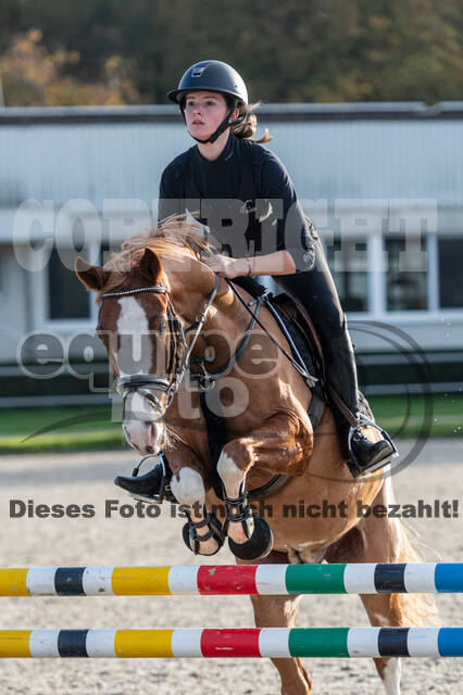 IGV Lehrgang der Sieger der Cups mit Frank Ostholt