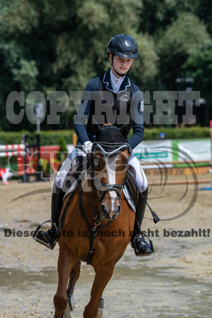 Goldene Schärpe 2021 - Ponys