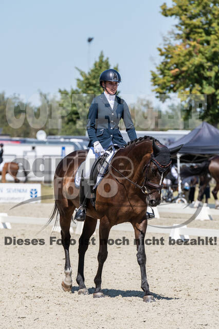 Kronenberg - De Peelbergen (August 2020)