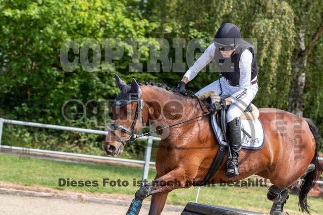 Late-Entry-Vielseitigkeit Langenfeld (11.+13./14.06.2020)