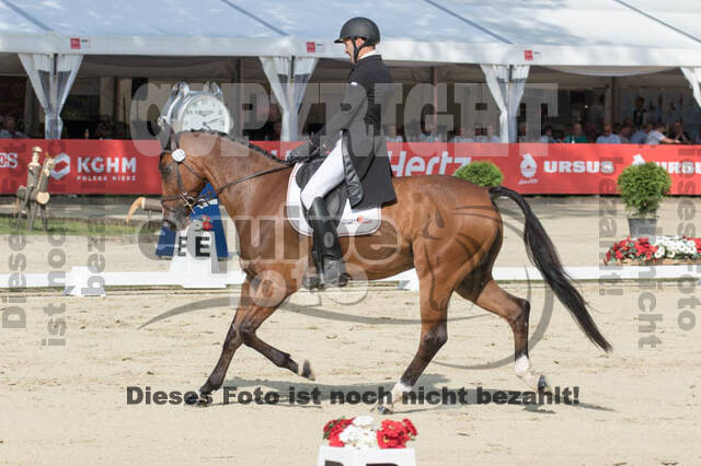 FEI European Championship Eventing 2017