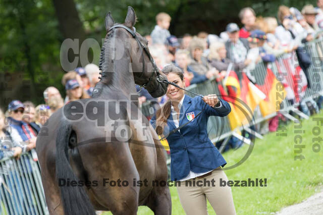 FEI European Championship