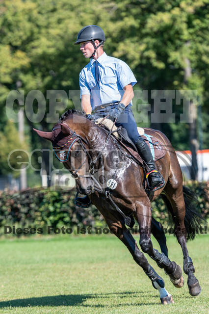 Kronenberg - De Peelbergen (August 2020)
