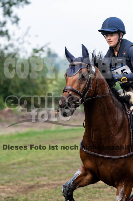 De Peelbergen (August 2020)