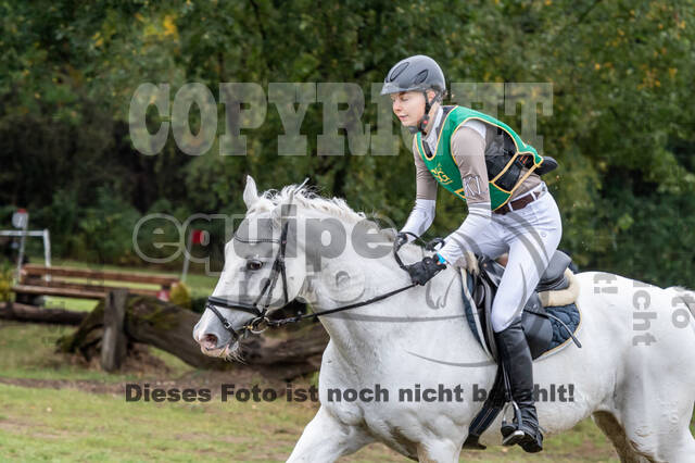 Vielseitigkeit RSV Wesel Obrighoven (26.+27.09.2020)
