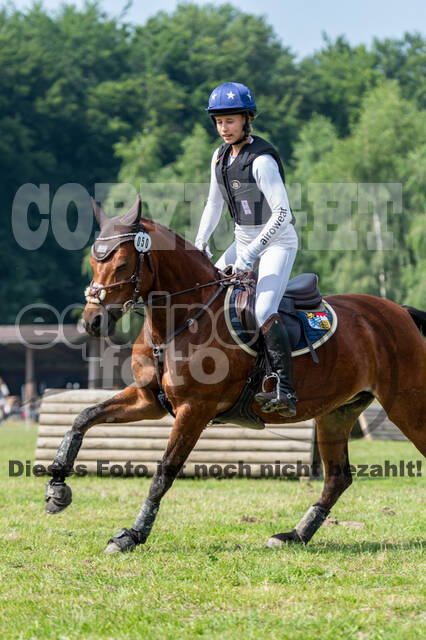 Goldene Schärpe 2021 - Ponys